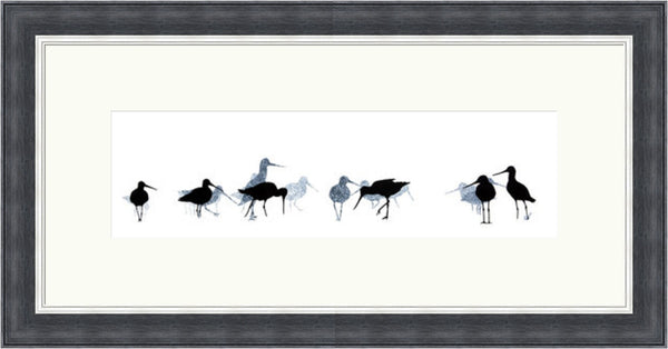 Godwits by Sandra Vick