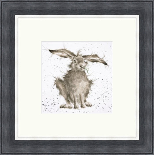 Hare Brained  -  Wrendale Designs by Hannah Dale