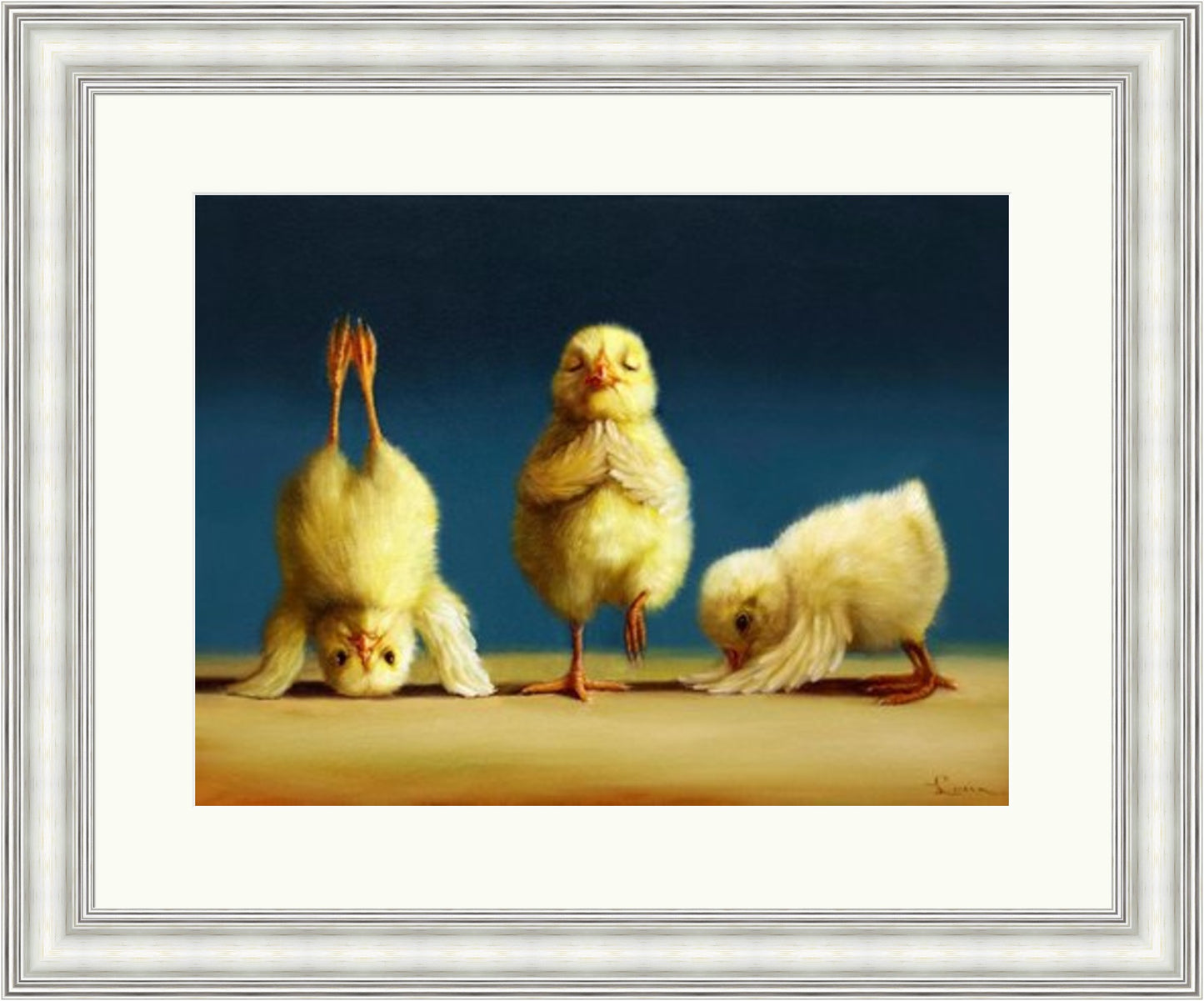 Yoga Chicks by Lucia Heffernan