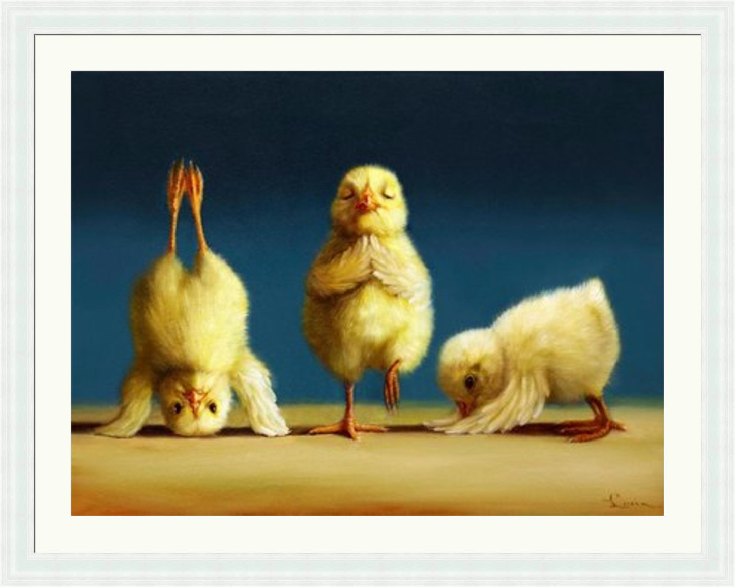 Yoga Chicks by Lucia Heffernan