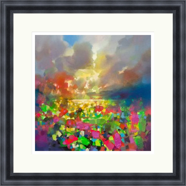 Convection (Limited Edition) by Scott Naismith