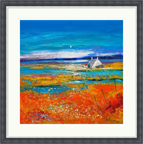 Machair Wild Cotton and Wild Flowers, South Uist by John Lowrie Morrison (Jolomo)