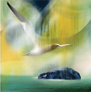 Belhaven Bass, Bird & Bass by Esther Cohen