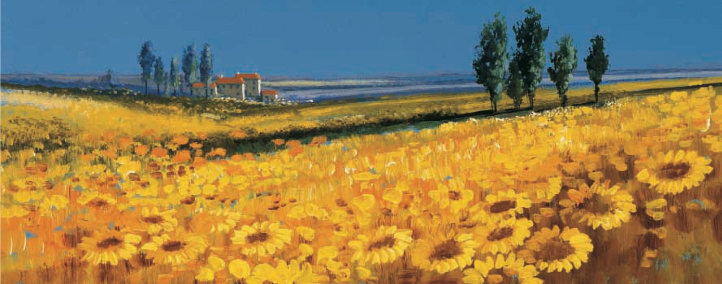 Yellow Fields, Tuscany by John Horsewell