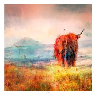 Coo by Lee Scammacca