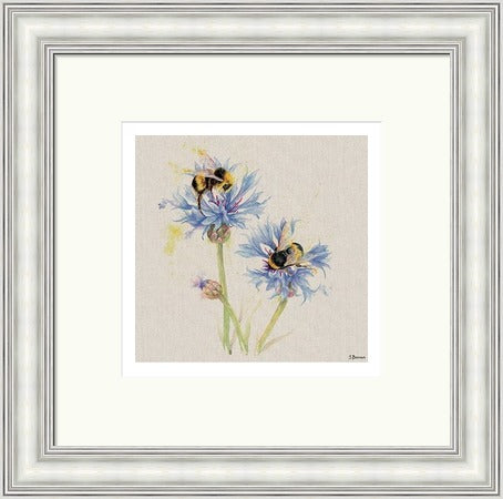 Bees on Cornflowers by Jane Bannon