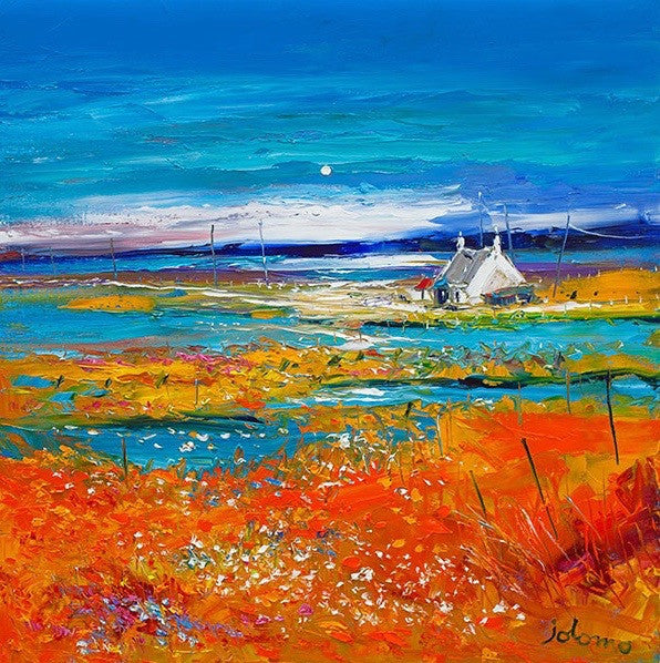 Machair Wild Cotton and Wild Flowers, South Uist by John Lowrie Morrison (JOLOMO)