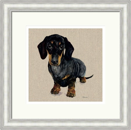 Danny Dachshund Framed Print by Jane Bannon