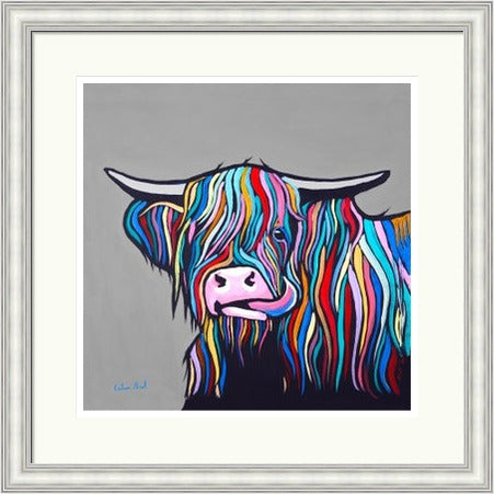 Heilan Coo 2 by Callum Nicol