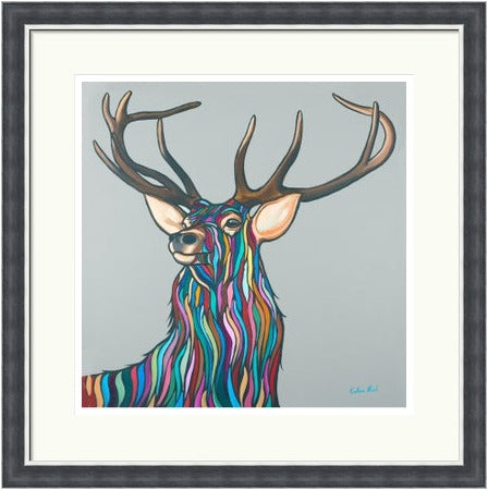 Highland Stag by Callum Nicol