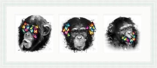 See No Evil, Hear No Evil, Speak No Evil by Patrice Murciano