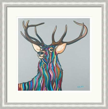 Highland Stag by Callum Nicol