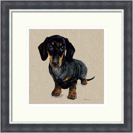 Danny Dachshund Framed Print by Jane Bannon