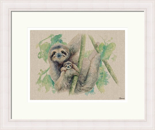 Live Life in the Sloth Lane by Jane Bannon