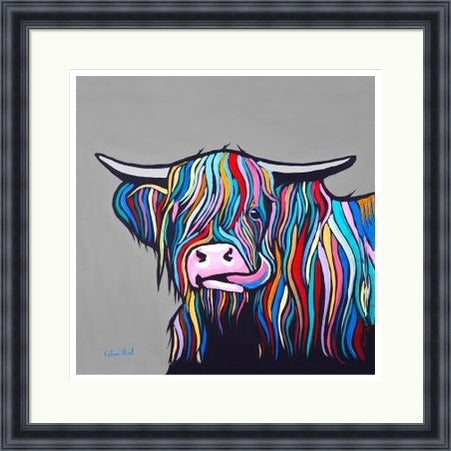 Heilan Coo 2 by Callum Nicol