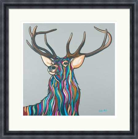 Highland Stag by Callum Nicol