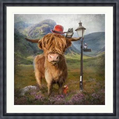 Highland Cow by Matylda Konecka