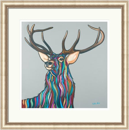 Highland Stag by Callum Nicol