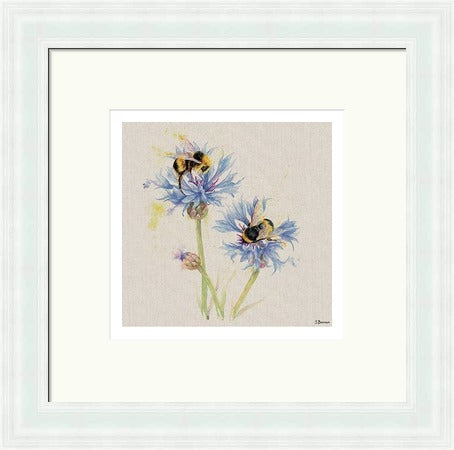 Bees on Cornflowers by Jane Bannon