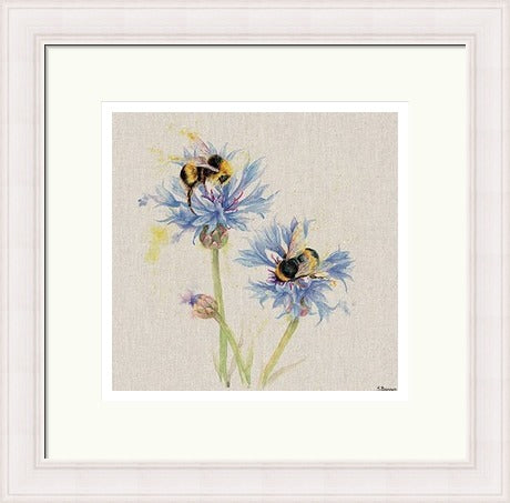 Bees on Cornflowers by Jane Bannon